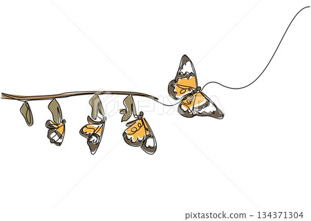 Single continuous line drawing the evolution from cocoon to butterfly attached to tree branch. A beautiful transformation. Butterfly Education and Awareness Day. One line design vector illustration 134371304
