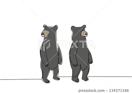 Single line drawing of two black bears standing upright, depicted in a minimal colored style to highlight wildlife and conservation for National Black Bear Day, nature concept. Single line drawing of two black bears standing upright, depicted in a minimal colored style to highlight wildlife and conservation for National Black Bear Day, nature concept. 134371386
