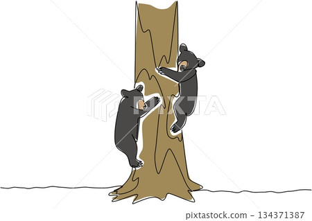 Single continuous line drawing 2 black bear cubs climbing a tree. Play and find a safe place to rest. Looking for food. Habitat. Ecosystem. National Black Bear Day. One line design vector illustration 134371387