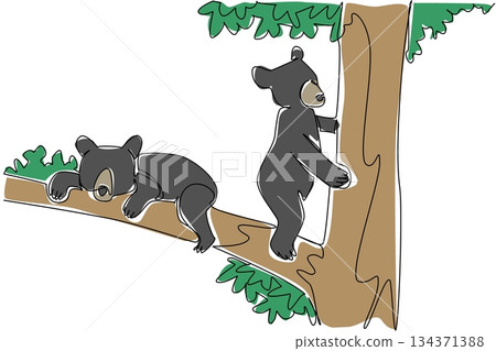 Continuous one line drawing 2 black bear cubs climbs tree with different activities. Looking for food and resting in the treetops. National Black Bear Day. Single line draw design vector illustration 134371388