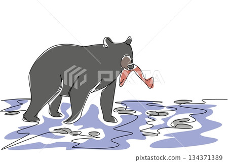 Single continuous line drawing black bear walking on rocky river while its mouth is biting a fish. Mother bringing fish food for children. National Black Bear Day. One line design vector illustration 134371389