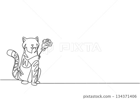 Continuous one line drawing the cat is holding a rose with one of its paws. Pets bring flowers as a sign of love for their loved ones. Cute. Rose Festival. Single line draw design vector illustration 134371406