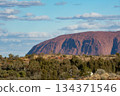 Near Uluru 134371546