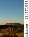 Morning at Uluru 134371548