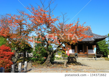 Asuka Village - Autumn leaves at Tachibana Temple Asuka Village - Autumn leaves at Tachibana Temple 134371662