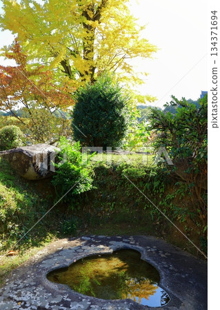 Asuka Village - Autumn leaves at Tachibana Temple Asuka Village - Autumn leaves at Tachibana Temple 134371694