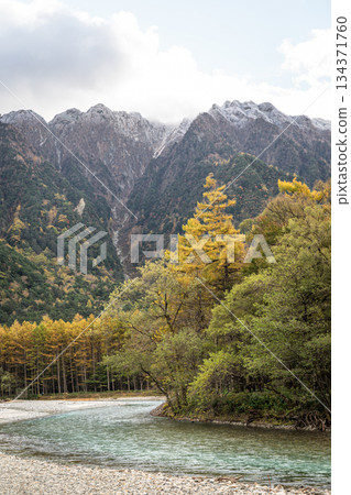 上高地秋景,穗高山脈,初雪,落葉松林 上高地秋景,穗高山脈,初雪,落葉松林 134371760