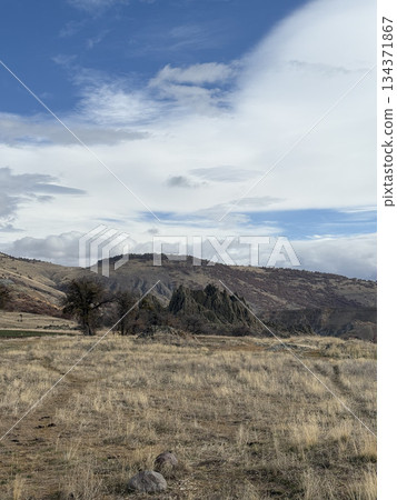Rocky landscape thistles. High quality photo 134371867