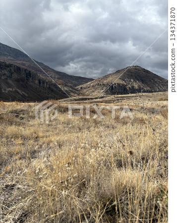 Rocky landscape thistles. High quality photo Rocky landscape thistles. High quality photo 134371870