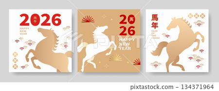 Set of vector Year of the Horse zodiac card design 134371964
