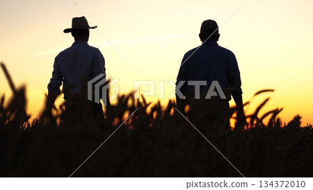 Farmers shake hands over a successful harvest, Golden wheat fields at sunset, Cooperation in agriculture, Partnership amid the crops, Celebrating a bountiful season, Unity in farming, Farmers bonding Farmers shake hands over a successful harvest, Golden wheat fields at sunset, Cooperation in agriculture, Partnership amid the crops, Celebrating a bountiful season, Unity in farming, Farmers bonding 134372010
