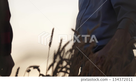 A farmer's handshake in the wheat field at dusk, Celebrating a successful harvest with a handshake among wheat, Two farmers agreeing on a deal amidst golden wheat fields, Hands locked in partnership 134372011