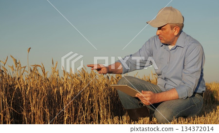 Crop specialist studies the condition of a wheat field, Man in a cap and blue shirt observes agriculture progress, Hands-on inspection of wheat plants with a digital device, Person engaged in Crop specialist studies the condition of a wheat field, Man in a cap and blue shirt observes agriculture progress, Hands-on inspection of wheat plants with a digital device, Person engaged in 134372014