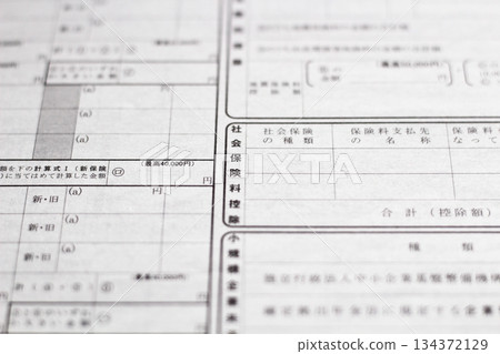 年終調整：工資收入僱員保險費扣除申報表 134372129