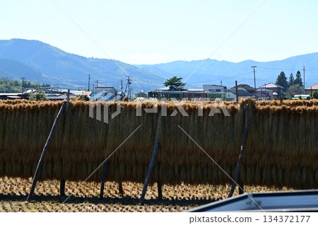 A diesel car on the Kamaishi Line (Rapid Hamayuri) running through the rice paddy areas of Tono A diesel car on the Kamaishi Line (Rapid Hamayuri) running through the rice paddy areas of Tono 134372177