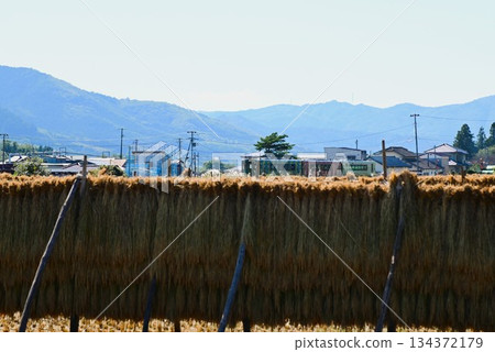 A diesel car on the Kamaishi Line (Rapid Hamayuri) running through the rice paddy areas of Tono A diesel car on the Kamaishi Line (Rapid Hamayuri) running through the rice paddy areas of Tono 134372179