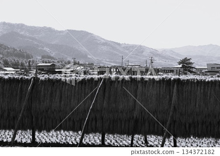A diesel car on the Kamaishi Line (Rapid Hamayuri) running through the rice paddy areas of Tono 134372182