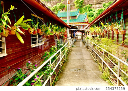 屋簷前花盆(山打根/東馬來西亞/婆羅洲島) 屋簷前花盆(山打根/東馬來西亞/婆羅洲島) 134372239
