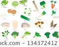 Illustration set of vegetables to eat every day 134372412