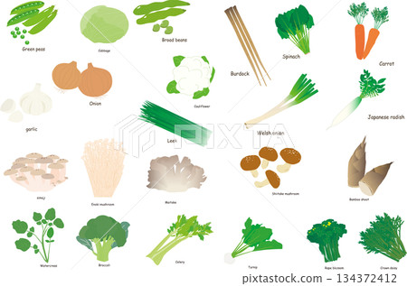 每日食用蔬菜插圖集 134372412