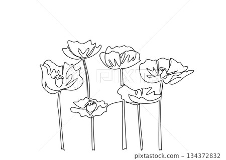 A single line drawing of blooming poppy flowers created for Opium Suppression Movement Day, representing health concept and global awareness theme with symbolic nature design. 134372832