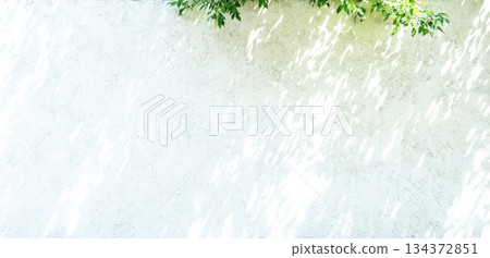 Plant shadow light sunshine Plant shadow light sunshine 134372851