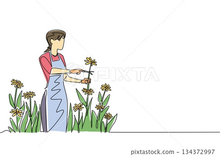 Continuous line drawing of a woman gardener in apron trimming yellow flowers in bloom, symbolizing natural lifestyle and health concept during National Gardening Exercise Day observance. Continuous line drawing of a woman gardener in apron trimming yellow flowers in bloom, symbolizing natural lifestyle and health concept during National Gardening Exercise Day observance. 134372997