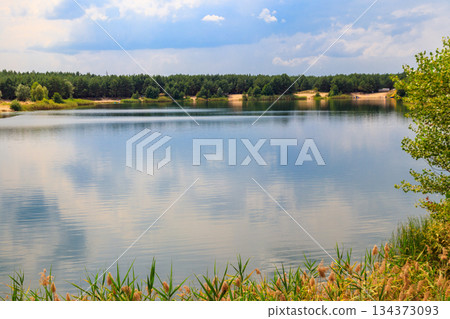 View of a beautiful lake in a pine forest at summer View of a beautiful lake in a pine forest at summer 134373093