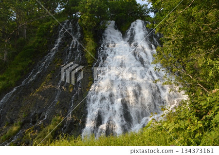 Oshinkoshin waterfall (Charasse nai river / estuary vicinity / Shari-cho, Shari-gun, Hokkaido) Oshinkoshin waterfall (Charasse nai river / estuary vicinity / Shari-cho, Shari-gun, Hokkaido) 134373161