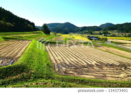 Akinomiyamori rice terrace area Akinomiyamori rice terrace area 134373401