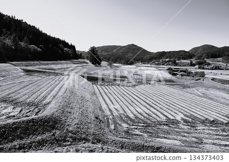 Akinomiyamori rice terrace area Akinomiyamori rice terrace area 134373403