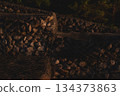 Gabion wall at dawn 134373863