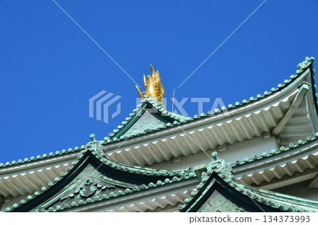 The castle tower of Nagoya castle (Nagoya city, Aichi prefecture) 134373993