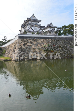 岸和田城（大阪縣岸和田市吉祥町） 134373999