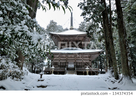 West Pagoda (Koyasan, Danjo Garan) [Koyacho, Wakayama Prefecture] 134374354