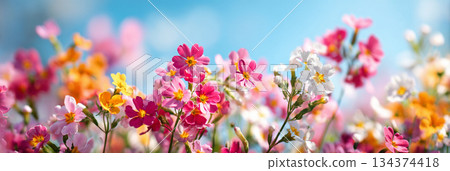 Flowers blooming in a flowerbed in early spring AI image 134374418