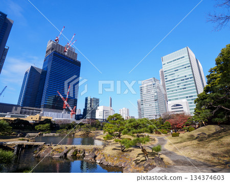 深秋的舊芝離宮恩賜庭園 134374603