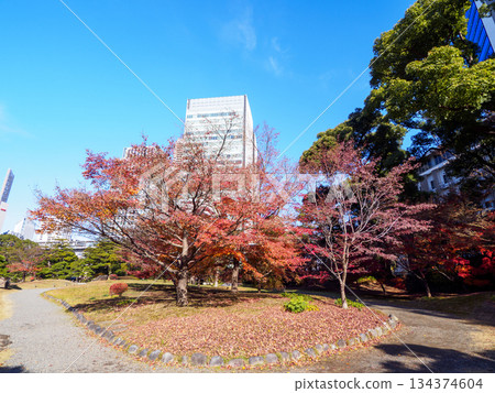 Kyu-Shiba Rikyu Gardens in late autumn 134374604