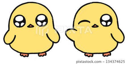 Hand-drawn, cute chick character, set of two facial expressions: normal and winking Hand-drawn, cute chick character, set of two facial expressions: normal and winking 134374625