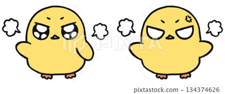 Hand-drawn, cute chick character, set of two angry expressions Hand-drawn, cute chick character, set of two angry expressions 134374626