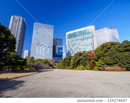 High-rise building group seen from Hamarikyūsen garden 134374697