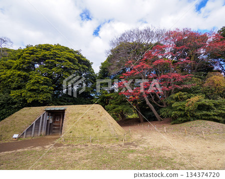 從Hamarikyūsen花園看到的高層建築群 134374720