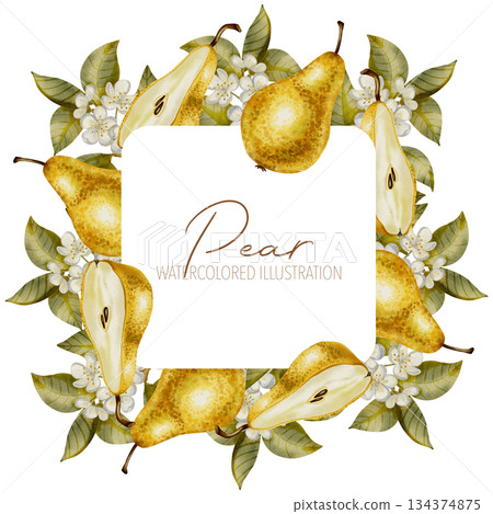 Watercolor botanical wreath featuring ripe pears, white blossoms, and green leaves. Perfect as a frame or logo element for wedding stationery, textile, packaging, and healthy food brands. 134374875
