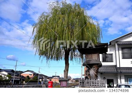 Streets with willow trees Streets with willow trees 134374896