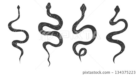 Celestial set kundalini snake magic line tattoo. Boho mystic snake with moon stars. Black serpent silhouette.symbol of spiritual awakening, vitality and inner peace. 134375223