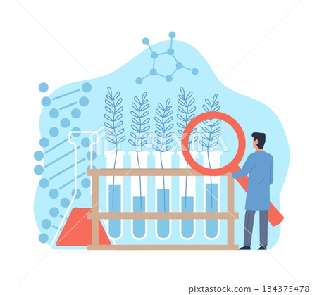 Genetically modified plants. Man with magnifying glass watches sprouts in laboratory tubes, lab test, cultivation genes mutation, biotechnology innovation cartoon flat vector concept 134375478