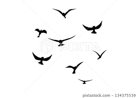 Flying flock of birds silhouette, Simple swallows in flight, crows in the sky. Group of birds border. Flying flock of birds silhouette, Simple swallows in flight, crows in the sky. Group of birds border. 134375539