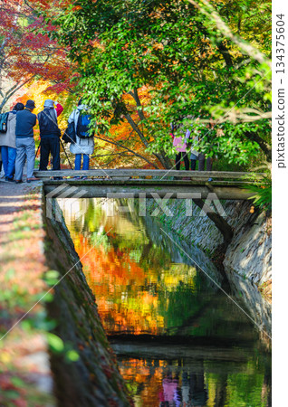 哲學家之路_2025 哲學家之路_2025 134375604