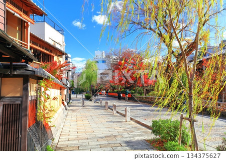 [Kyoto Prefecture] Gion Shirakawa River and autumn leaves on a clear day 134375627