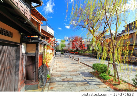 [Kyoto Prefecture] Gion Shirakawa River and autumn leaves on a clear day 134375628